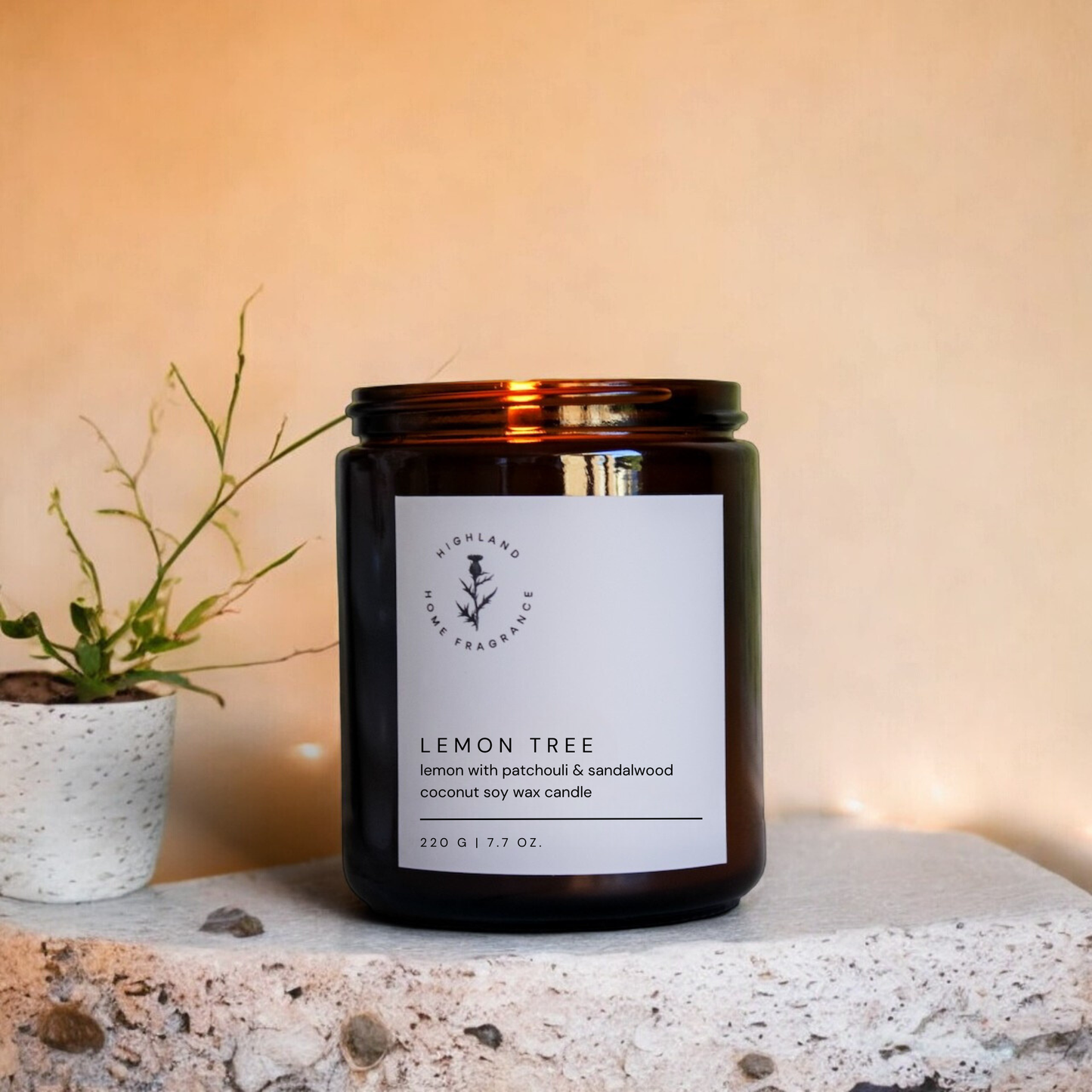 Lemon Tree | Lemon, Patchouli + Sandalwood 220g Candle