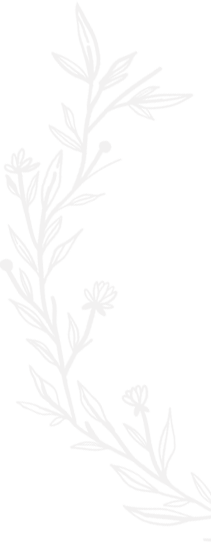 vine illustration
